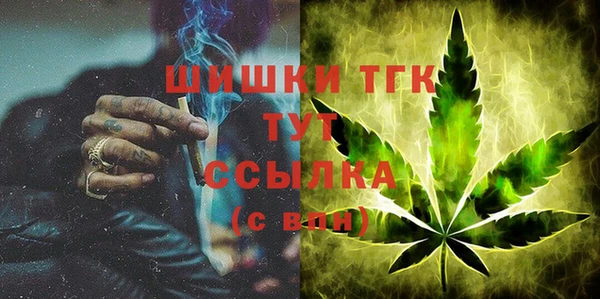 гидропоника Медногорск