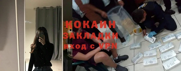 гидропоника Медногорск