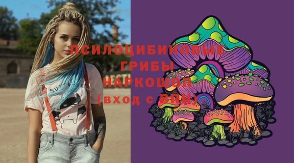 гидропоника Медногорск