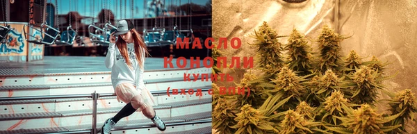 гидропоника Медногорск