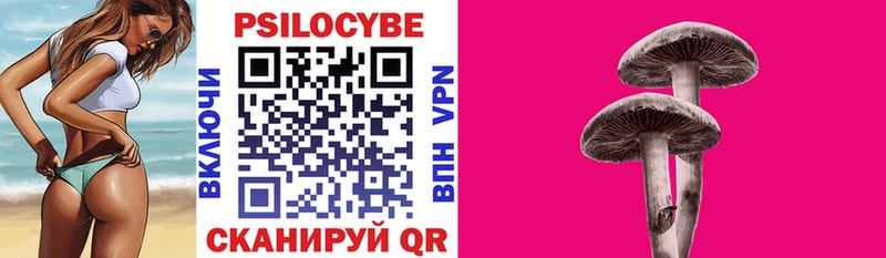 KRAKEN ТОР  Анива  Галлюциногенные грибы мицелий 